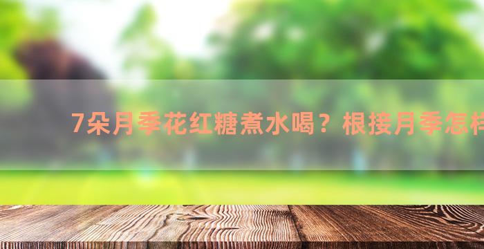 7朵月季花红糖煮水喝？根接月季怎样养护