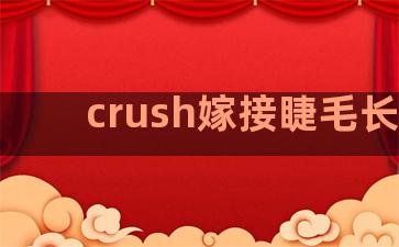 crush嫁接睫毛长度