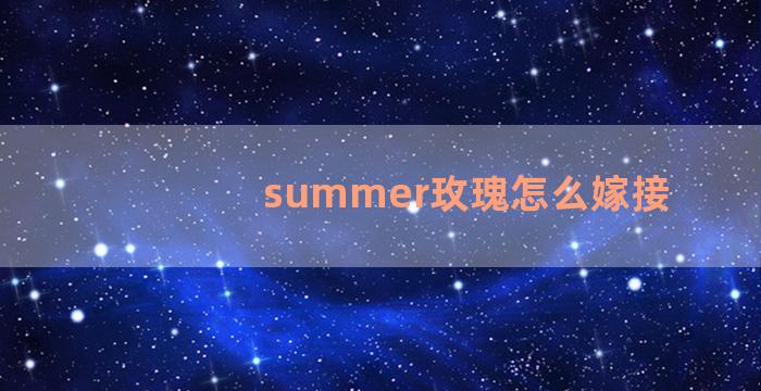 summer玫瑰怎么嫁接