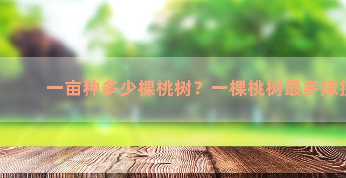 一亩种多少棵桃树？一棵桃树最多嫁接几种