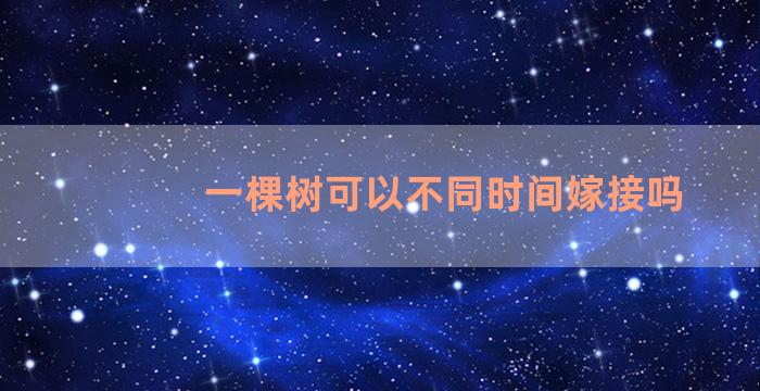 一棵树可以不同时间嫁接吗