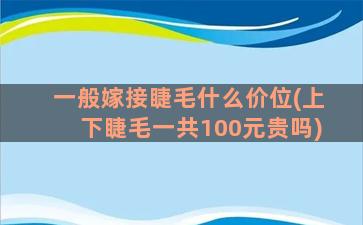 一般嫁接睫毛什么价位(上下睫毛一共100元贵吗)