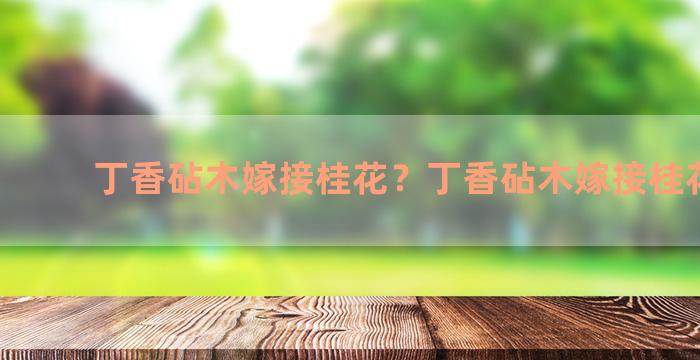 丁香砧木嫁接桂花？丁香砧木嫁接桂花好吗