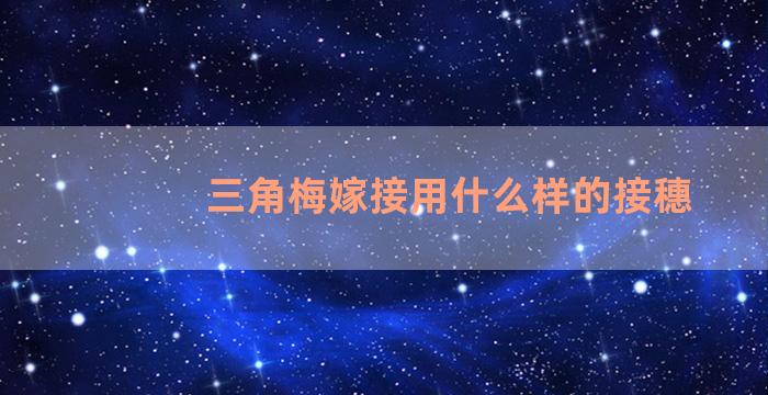 三角梅嫁接用什么样的接穗