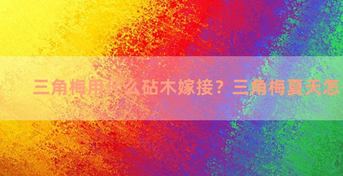 三角梅用什么砧木嫁接？三角梅夏天怎么样嫁接