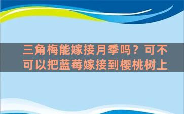 三角梅能嫁接月季吗？可不可以把蓝莓嫁接到樱桃树上