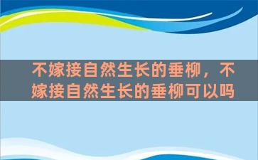 不嫁接自然生长的垂柳，不嫁接自然生长的垂柳可以吗