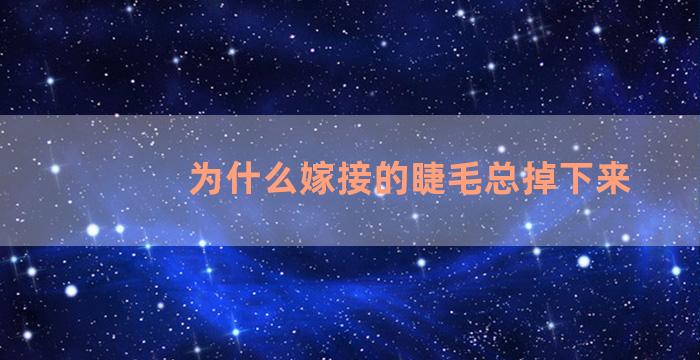 为什么嫁接的睫毛总掉下来