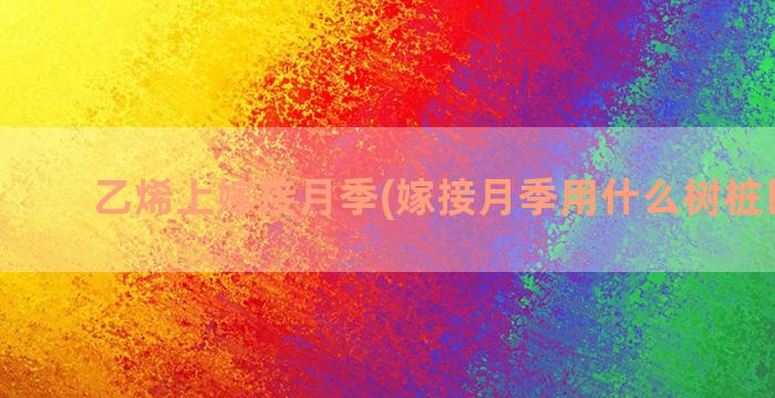 乙烯上嫁接月季(嫁接月季用什么树桩比较好)