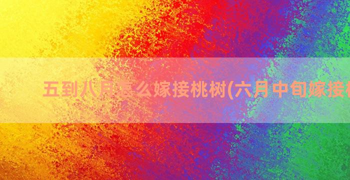 五到八月怎么嫁接桃树(六月中旬嫁接桃方法)