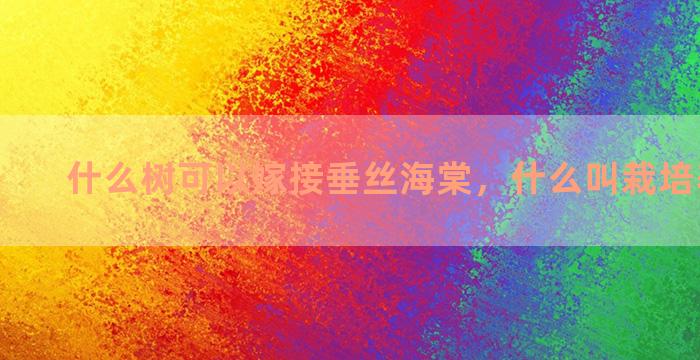 什么树可以嫁接垂丝海棠，什么叫栽培养护方案