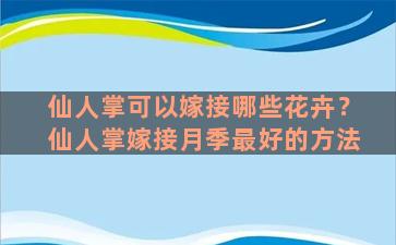 仙人掌可以嫁接哪些花卉？仙人掌嫁接月季最好的方法