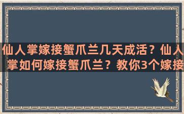 仙人掌嫁接蟹爪兰几天成活？仙人掌如何嫁接蟹爪兰？教你3个嫁接小妙招