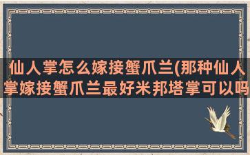 仙人掌怎么嫁接蟹爪兰(那种仙人掌嫁接蟹爪兰最好米邦塔掌可以吗)