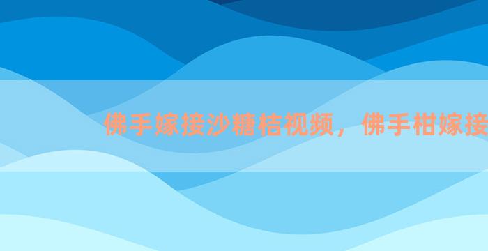 佛手嫁接沙糖桔视频，佛手柑嫁接