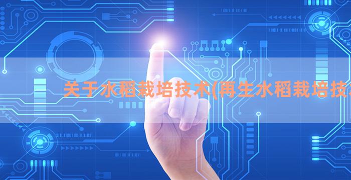 关于水稻栽培技术(再生水稻栽培技术)