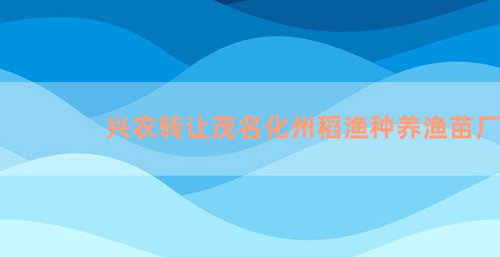 兴农转让茂名化州稻渔种养渔苗厂