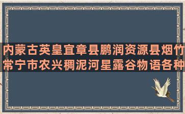 内蒙古英皇宜章县鹏润资源县烟竹常宁市农兴稠泥河星露谷物语各种养殖场材料