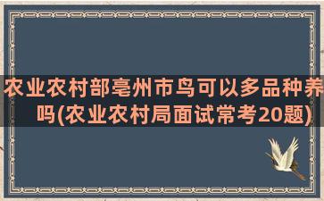 农业农村部亳州市鸟可以多品种养吗(农业农村局面试常考20题)