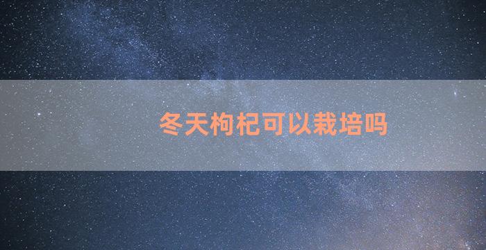 冬天枸杞可以栽培吗