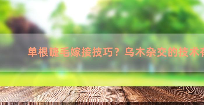 单根睫毛嫁接技巧？乌木杂交的技术有什么