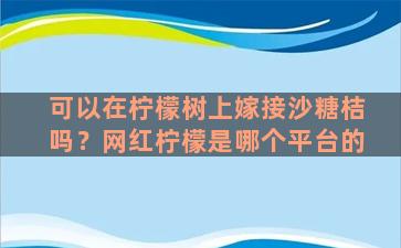 可以在柠檬树上嫁接沙糖桔吗？网红柠檬是哪个平台的