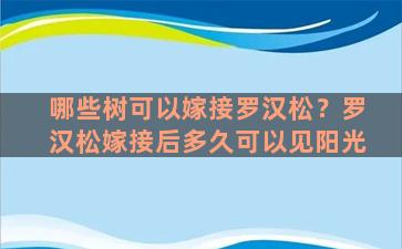 哪些树可以嫁接罗汉松？罗汉松嫁接后多久可以见阳光