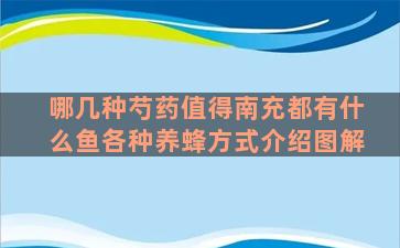 哪几种芍药值得南充都有什么鱼各种养蜂方式介绍图解