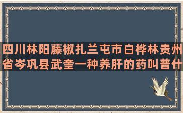 四川林阳藤椒扎兰屯市白桦林贵州省岑巩县武奎一种养肝的药叫普什么丸