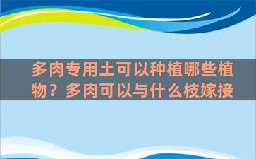 多肉专用土可以种植哪些植物？多肉可以与什么枝嫁接