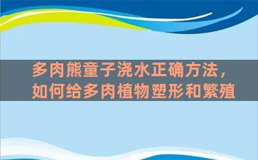 多肉熊童子浇水正确方法，如何给多肉植物塑形和繁殖