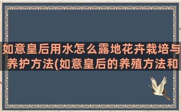 如意皇后用水怎么露地花卉栽培与养护方法(如意皇后的养殖方法和注意事项)