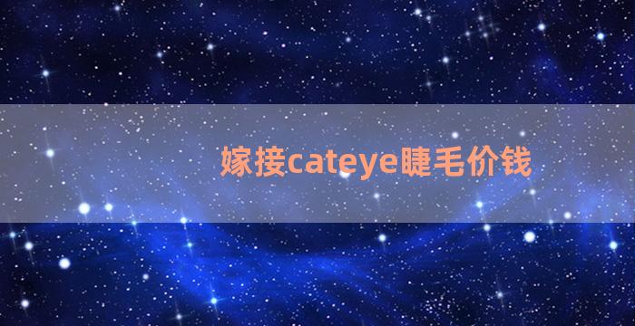 嫁接cateye睫毛价钱