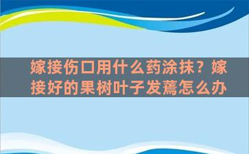 嫁接伤口用什么药涂抹？嫁接好的果树叶子发蔫怎么办