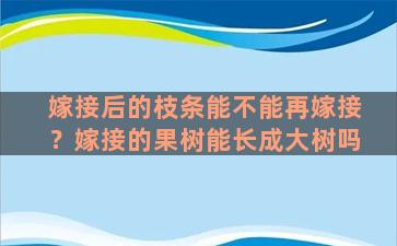 嫁接后的枝条能不能再嫁接？嫁接的果树能长成大树吗