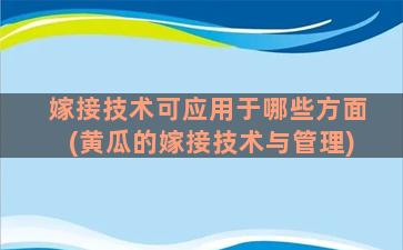 嫁接技术可应用于哪些方面(黄瓜的嫁接技术与管理)