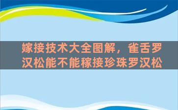 嫁接技术大全图解，雀舌罗汉松能不能稼接珍珠罗汉松