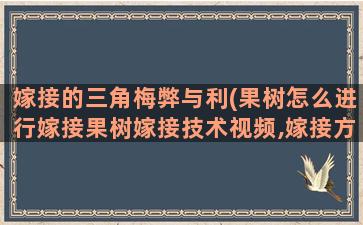 嫁接的三角梅弊与利(果树怎么进行嫁接果树嫁接技术视频,嫁接方法图解)