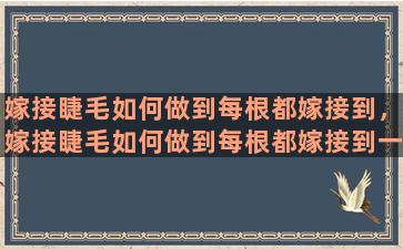 嫁接睫毛如何做到每根都嫁接到，嫁接睫毛如何做到每根都嫁接到一起