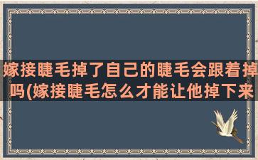 嫁接睫毛掉了自己的睫毛会跟着掉吗(嫁接睫毛怎么才能让他掉下来)