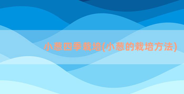 小葱四季栽培(小葱的栽培方法)