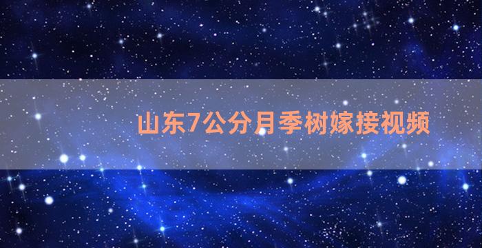 山东7公分月季树嫁接视频