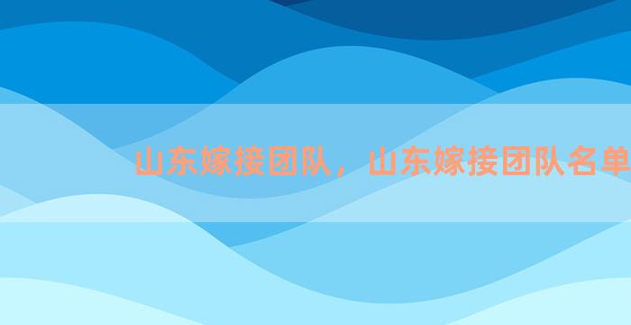 山东嫁接团队，山东嫁接团队名单