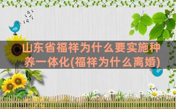 山东省福祥为什么要实施种养一体化(福祥为什么离婚)