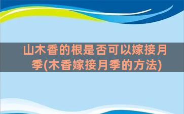 山木香的根是否可以嫁接月季(木香嫁接月季的方法)