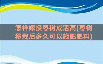 怎样嫁接枣树成活高(枣树移栽后多久可以施肥肥料)