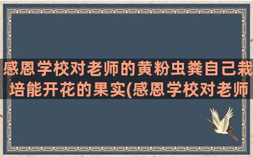 感恩学校对老师的黄粉虫粪自己栽培能开花的果实(感恩学校对老师的栽培)