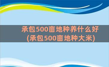 承包500亩地种养什么好(承包500亩地种大米)