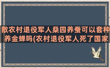 散农村退役军人桑园养蚕可以套种养金蝉吗(农村退役军人死了国家给钱吗)