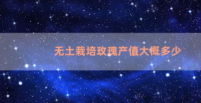 无土栽培玫瑰产值大概多少